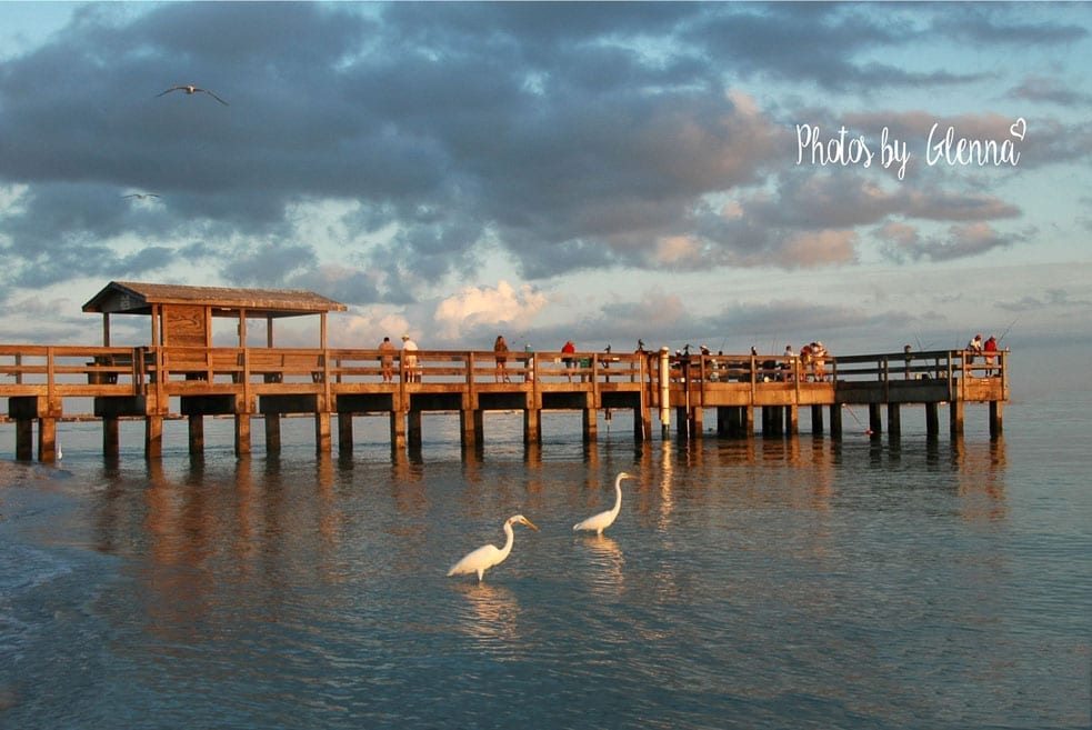 sanibel-Captiva-photographer