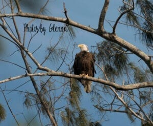 photographer-in-sanibel